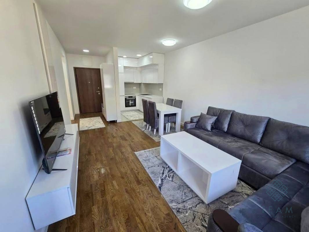 Podgorica, Stari Aerodrom, tek odalı daire 47m²